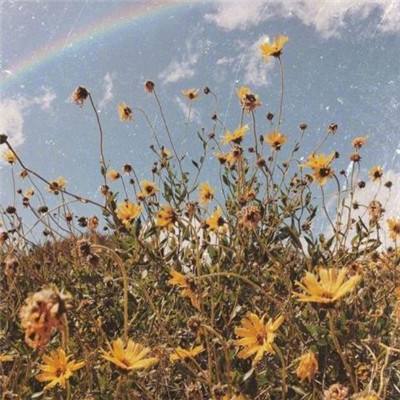 域网棋牌游戏app下载