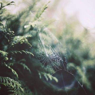 管家婆一码一肖资料手机app下载